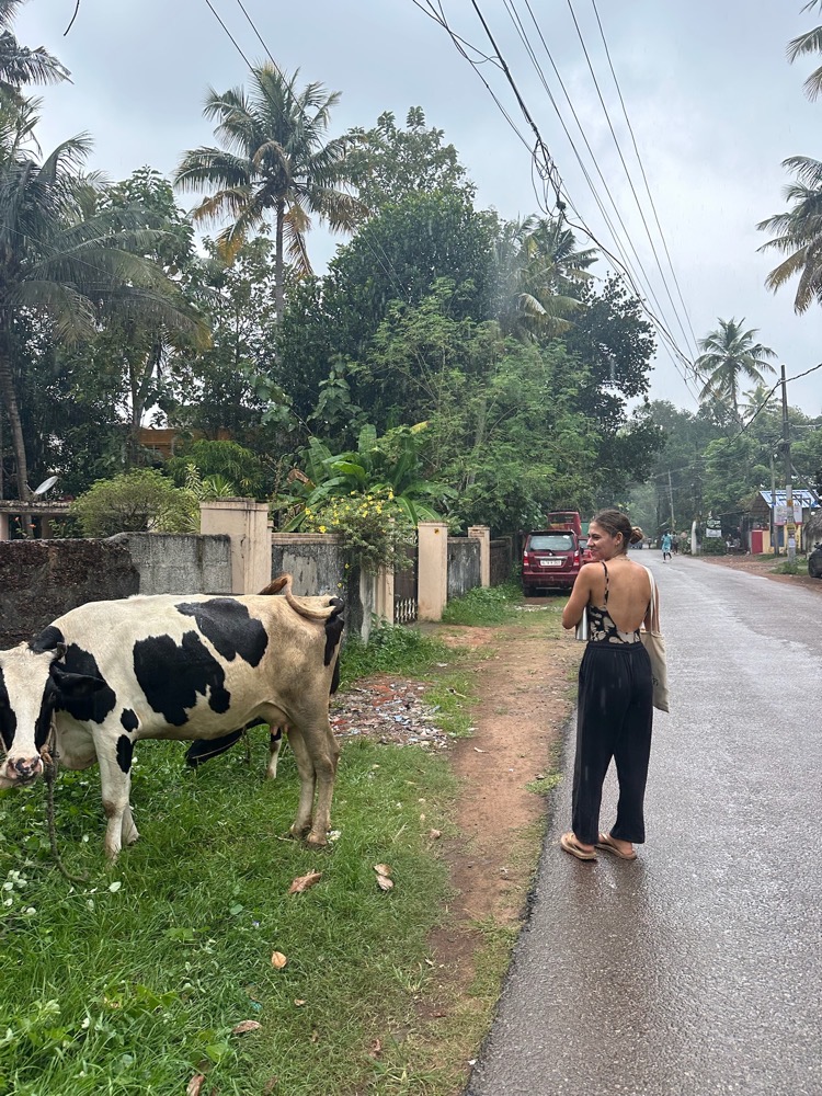 Calle en India