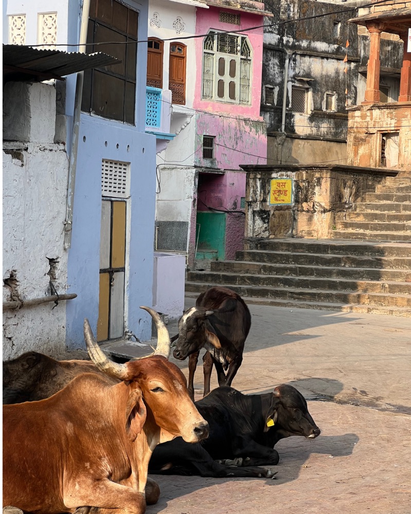 Calles de Pushkar