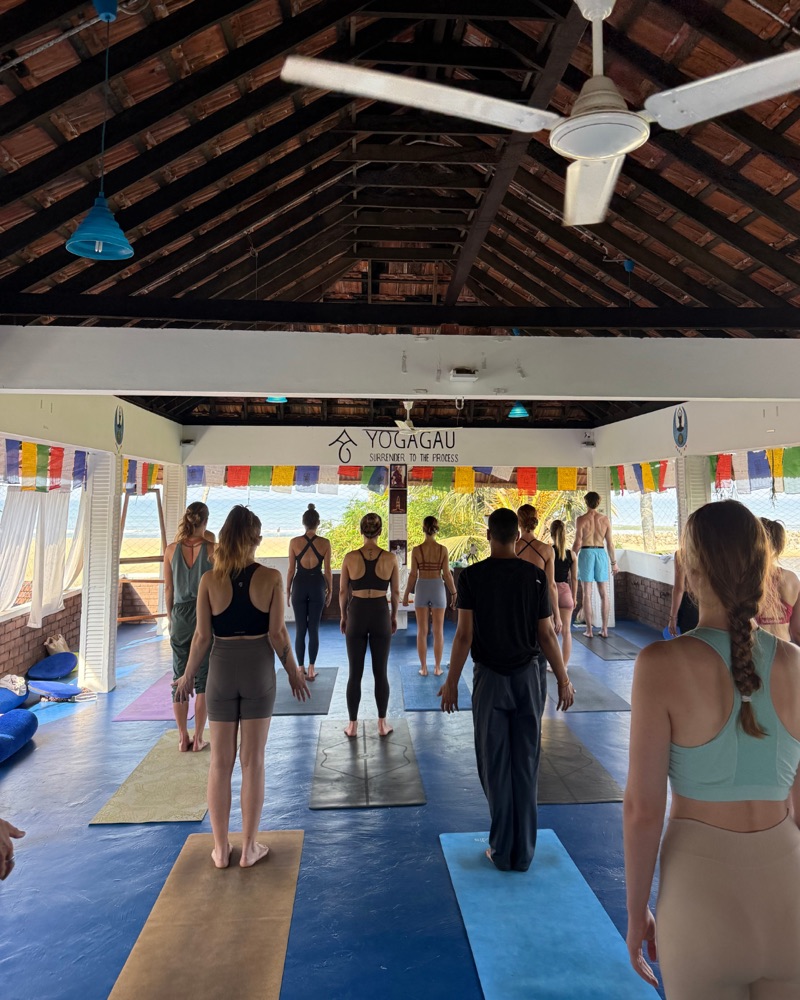 Shala de yoga en India